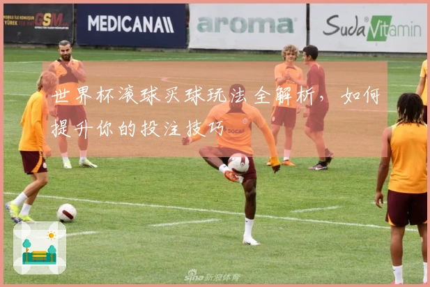 世界杯滚球买球玩法全解析，如何提升你的投注技巧