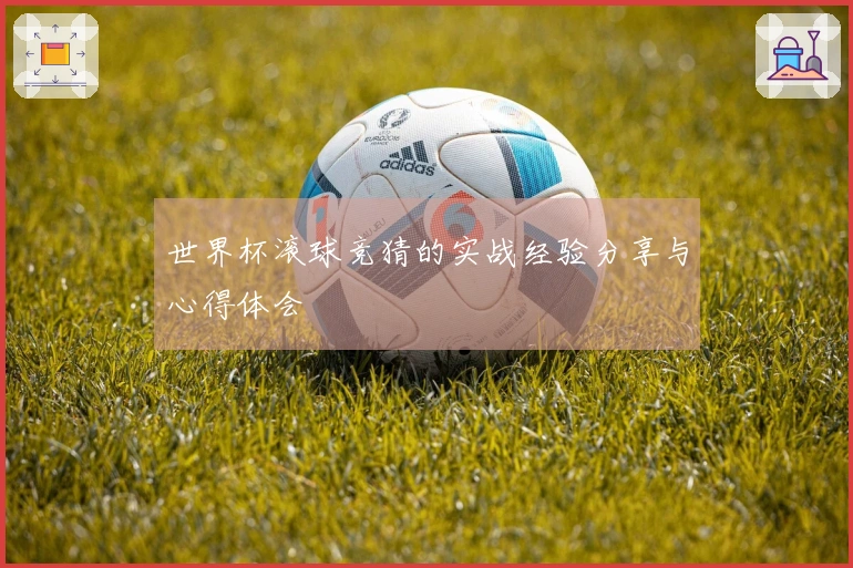 世界杯滚球竞猜的实战经验分享与心得体会