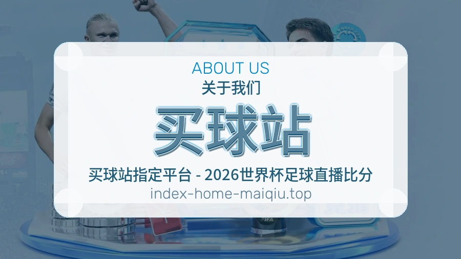 关于 买球站 团队与服务